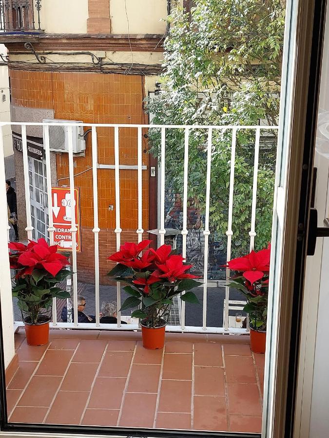 Apartamento Bt6gallos Sevilla